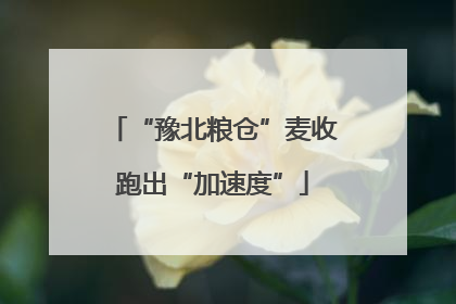 “豫北粮仓”麦收跑出“加速度”