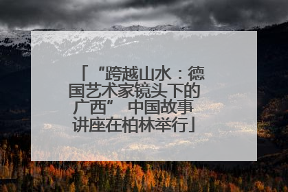“跨越山水：德国艺术家镜头下的广西” 中国故事讲座在柏林举行