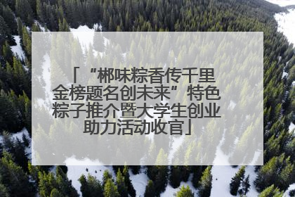 “郴味粽香传千里 金榜题名创未来”特色粽子推介暨大学生创业助力活动收官
