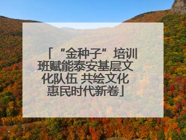 “金种子”培训班赋能泰安基层文化队伍 共绘文化惠民时代新卷