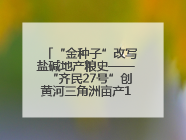 “金种子”改写盐碱地产粮史——“齐民27号”创黄河三角洲亩产1200斤奇迹