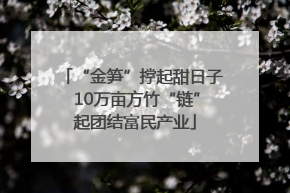 “金笋”撑起甜日子 10万亩方竹“链”起团结富民产业