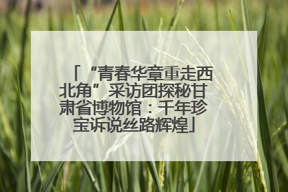 “青春华章重走西北角”采访团探秘甘肃省博物馆：千年珍宝诉说丝路辉煌