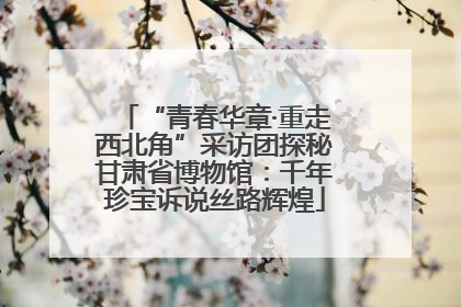 “青春华章·重走西北角”采访团探秘甘肃省博物馆：千年珍宝诉说丝路辉煌