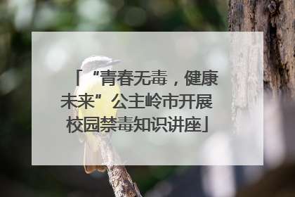 “青春无毒，健康未来”公主岭市开展校园禁毒知识讲座