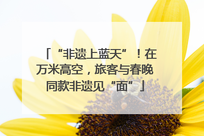 “非遗上蓝天”！在万米高空，旅客与春晚同款非遗见“面”