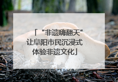 “非遗嗨翻天”让阜阳市民沉浸式体验非遗文化