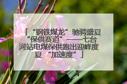 “钢铁煤龙”驰骋盛夏 “保供赛道”——七台河站电煤保供跑出迎峰度夏 “加速度”
