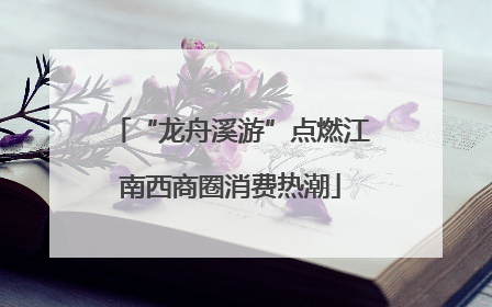 “龙舟溪游”点燃江南西商圈消费热潮