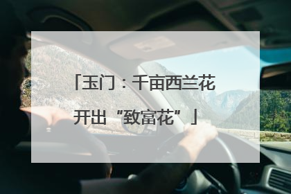 玉门：千亩西兰花开出“致富花”