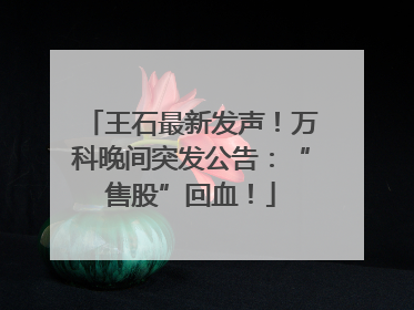 王石最新发声！万科晚间突发公告：“售股”回血！
