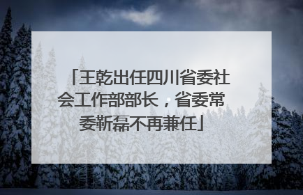 王乾出任四川省委社会工作部部长，省委常委靳磊不再兼任