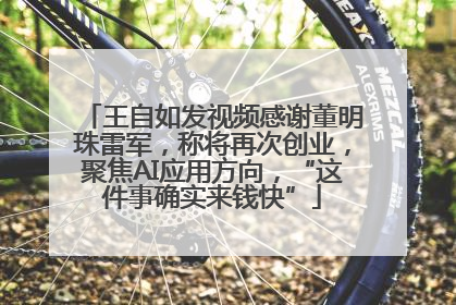 王自如发视频感谢董明珠雷军，称将再次创业，聚焦AI应用方向，“这件事确实来钱快”