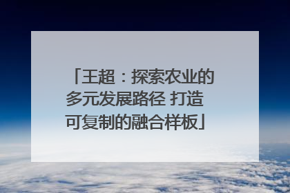 王超：探索农业的多元发展路径 打造可复制的融合样板