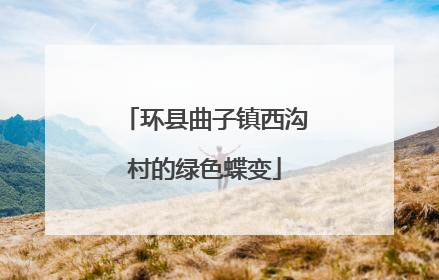 环县曲子镇西沟村的绿色蝶变