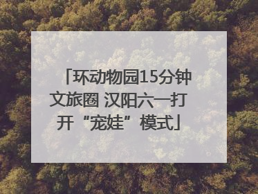 环动物园15分钟文旅圈 汉阳六一打开“宠娃”模式