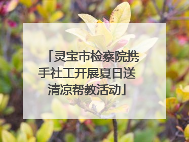 灵宝市检察院携手社工开展夏日送清凉帮教活动