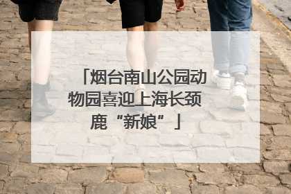 烟台南山公园动物园喜迎上海长颈鹿“新娘”
