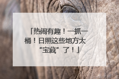 热闹有趣！一抓一桶！日照这些地方太“宝藏”了！