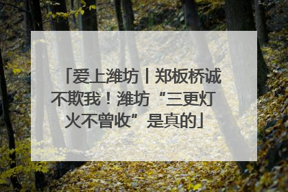 爱上潍坊丨郑板桥诚不欺我！潍坊“三更灯火不曾收”是真的