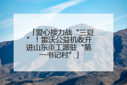 爱心接力战“三夏”！雷沃公益机收开进山东重工派驻“第一书记村”