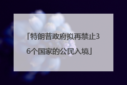 特朗普政府拟再禁止36个国家的公民入境