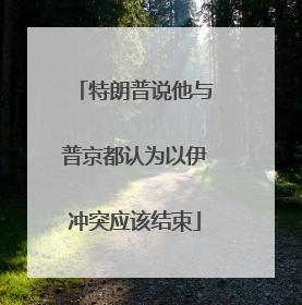 特朗普说他与普京都认为以伊冲突应该结束