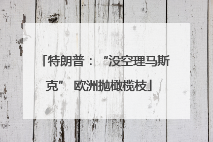 特朗普：“没空理马斯克” 欧洲抛橄榄枝