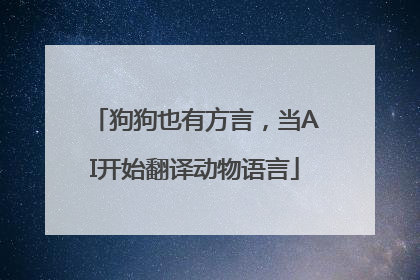 狗狗也有方言，当AI开始翻译动物语言