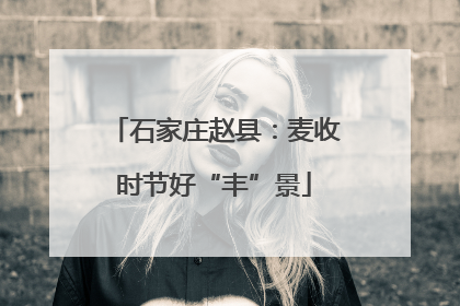 石家庄赵县：麦收时节好“丰”景