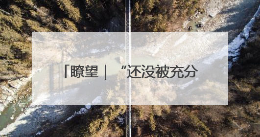 瞭望｜“还没被充分认知就难觅其踪”，谁来保护新物种？