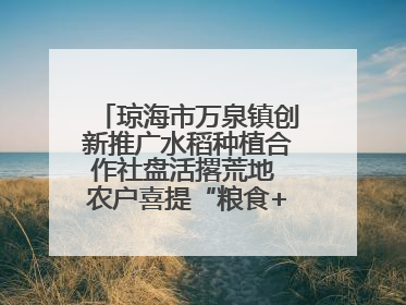 琼海市万泉镇创新推广水稻种植合作社盘活撂荒地 农户喜提“粮食+钞票”分红