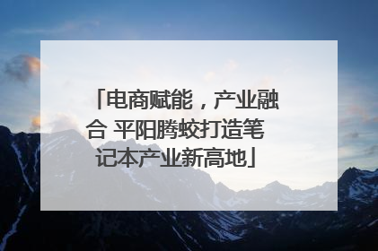 电商赋能，产业融合 平阳腾蛟打造笔记本产业新高地