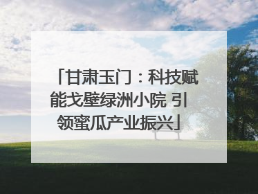 甘肃玉门：科技赋能戈壁绿洲小院 引领蜜瓜产业振兴