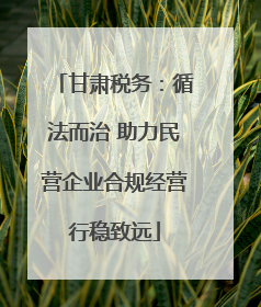 甘肃税务：循法而治 助力民营企业合规经营行稳致远