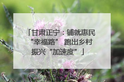 甘肃正宁：铺就惠民“幸福路” 跑出乡村振兴“加速度”