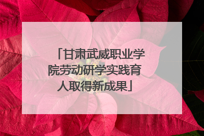 甘肃武威职业学院劳动研学实践育人取得新成果