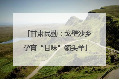 甘肃民勤：戈壁沙乡孕育“甘味”领头羊