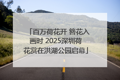 百万荷花开 簪花入画时 2025深圳荷花赏在洪湖公园启幕