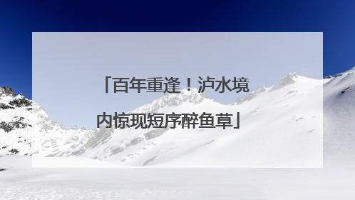 百年重逢！泸水境内惊现短序醉鱼草