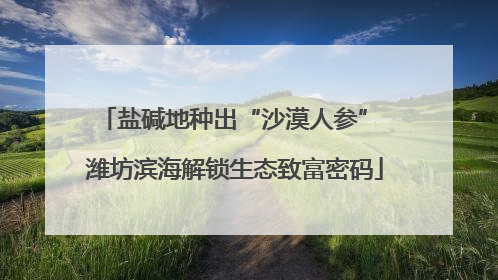 盐碱地种出“沙漠人参” 潍坊滨海解锁生态致富密码