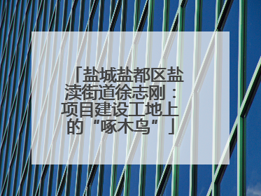盐城盐都区盐渎街道徐志刚：项目建设工地上的“啄木鸟”