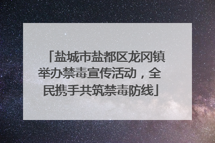 盐城市盐都区龙冈镇举办禁毒宣传活动，全民携手共筑禁毒防线