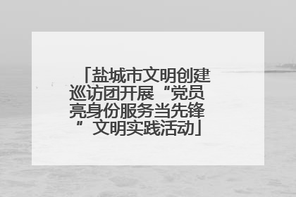 盐城市文明创建巡访团开展“党员亮身份服务当先锋”文明实践活动