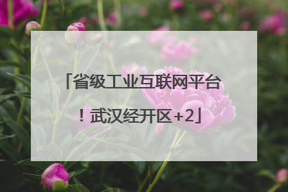 省级工业互联网平台！武汉经开区+2