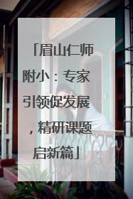 眉山仁师附小：专家引领促发展，精研课题启新篇