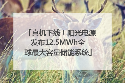 真机下线！阳光电源发布12.5MWh全球最大容量储能系统