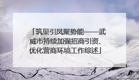 筑巢引凤聚势能——武威市持续加强招商引资、优化营商环境工作综述