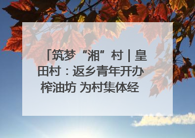 筑梦“湘”村｜皇田村：返乡青年开办榨油坊 为村集体经济“加油”