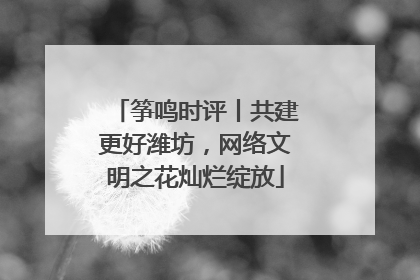 筝鸣时评丨共建更好潍坊，网络文明之花灿烂绽放